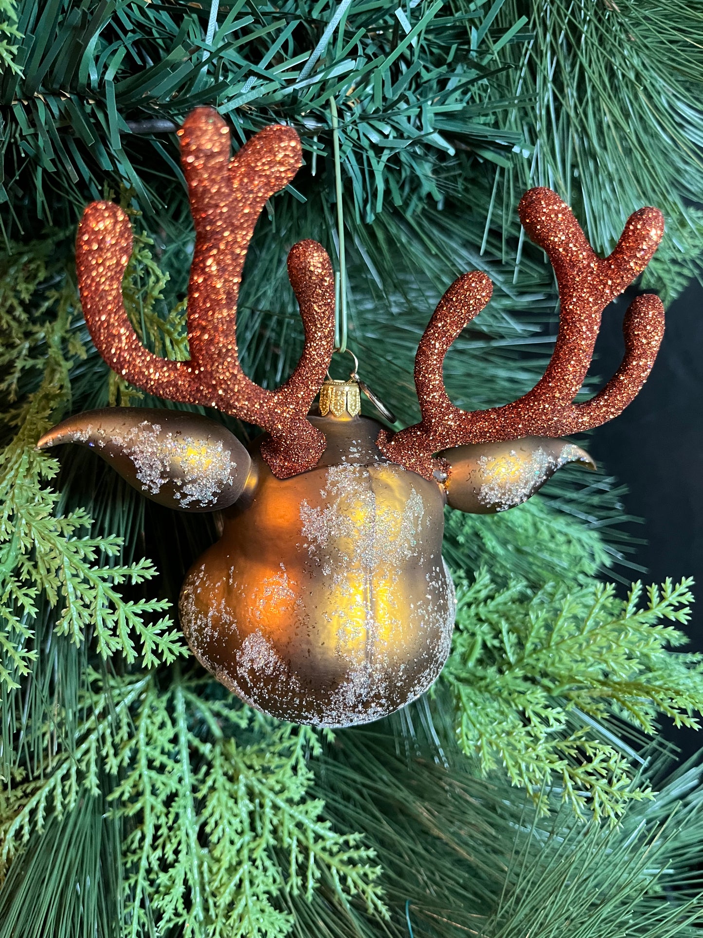 Rudolph Head ChristmasJules