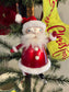 DeCarlini Skating Santa