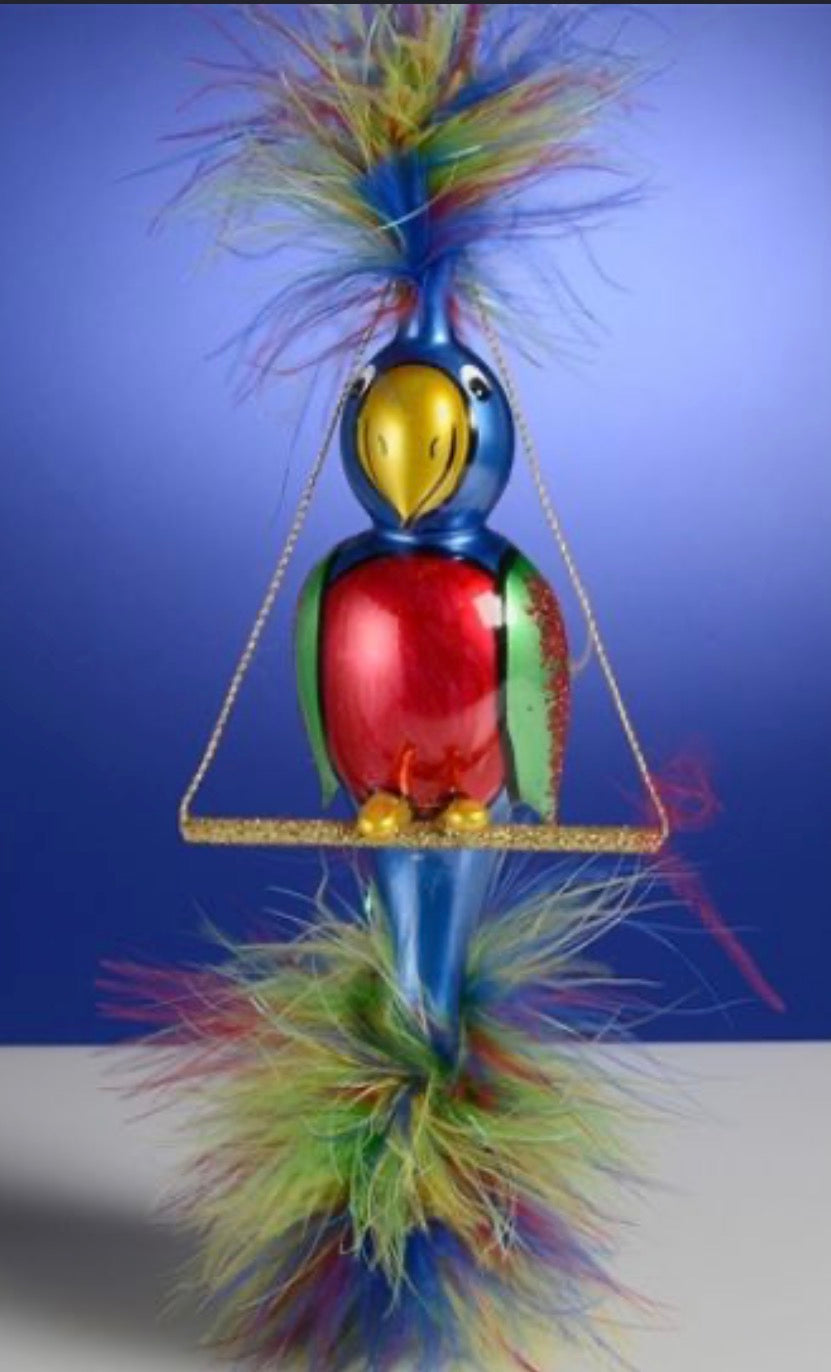 DeCarlini Parrot on Swing