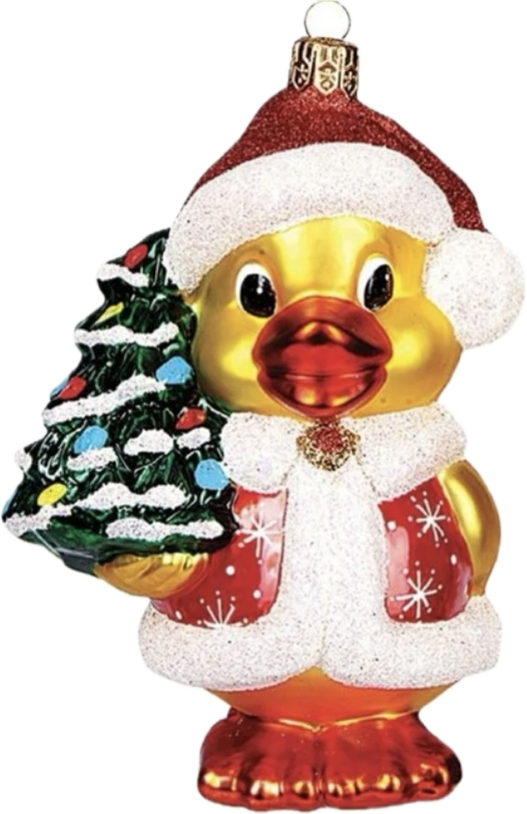 Santa Duck