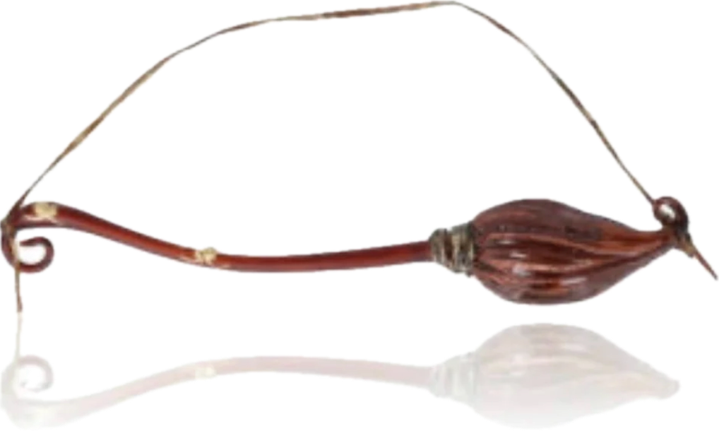 Witchy Broom - BluBom