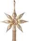 Champagne Tree Top Star